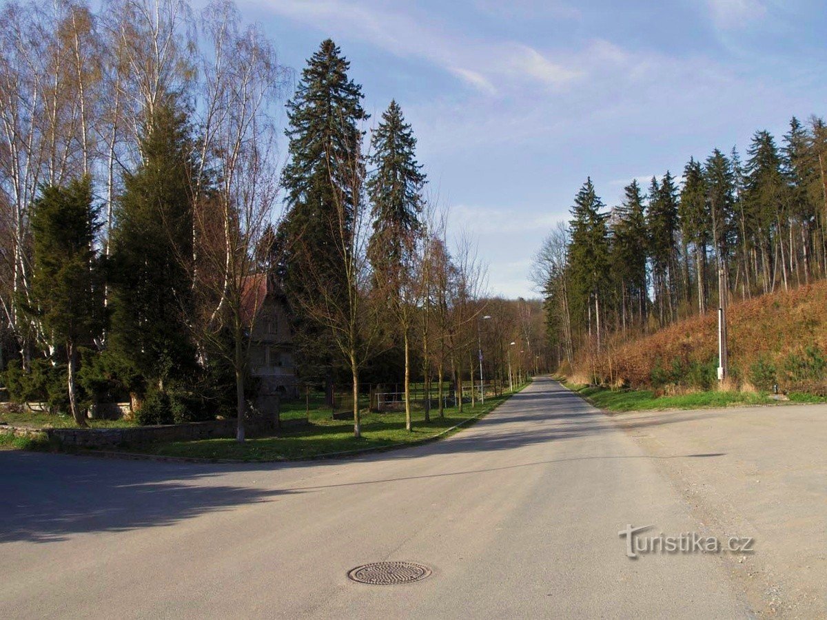 Forest on the right, park on the left