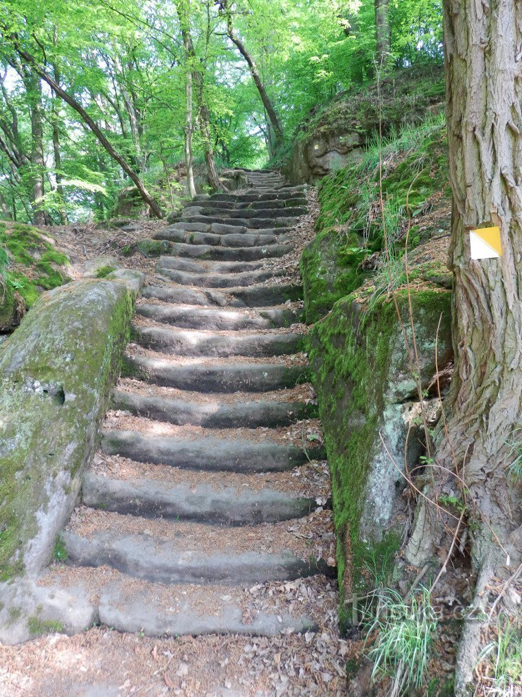 À droite de l'arbre, il y a un panneau indiquant le sentier pédagogique, le panneau touristique habituel ne mène pas ici.