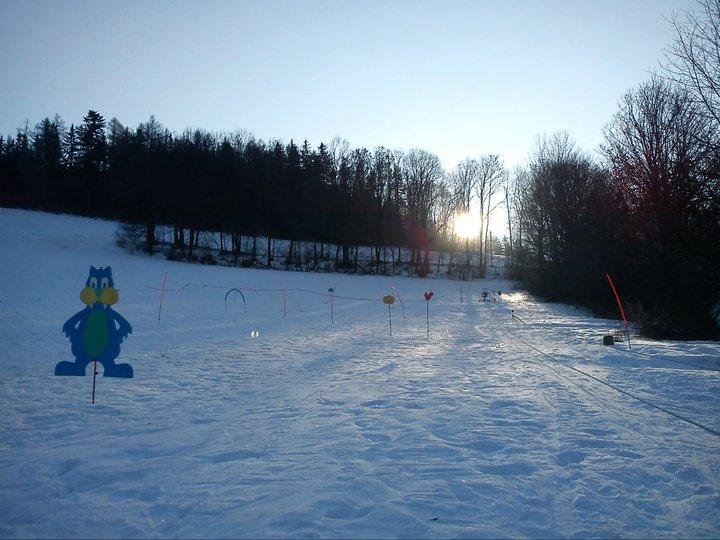 Дитячий відкат від воріт