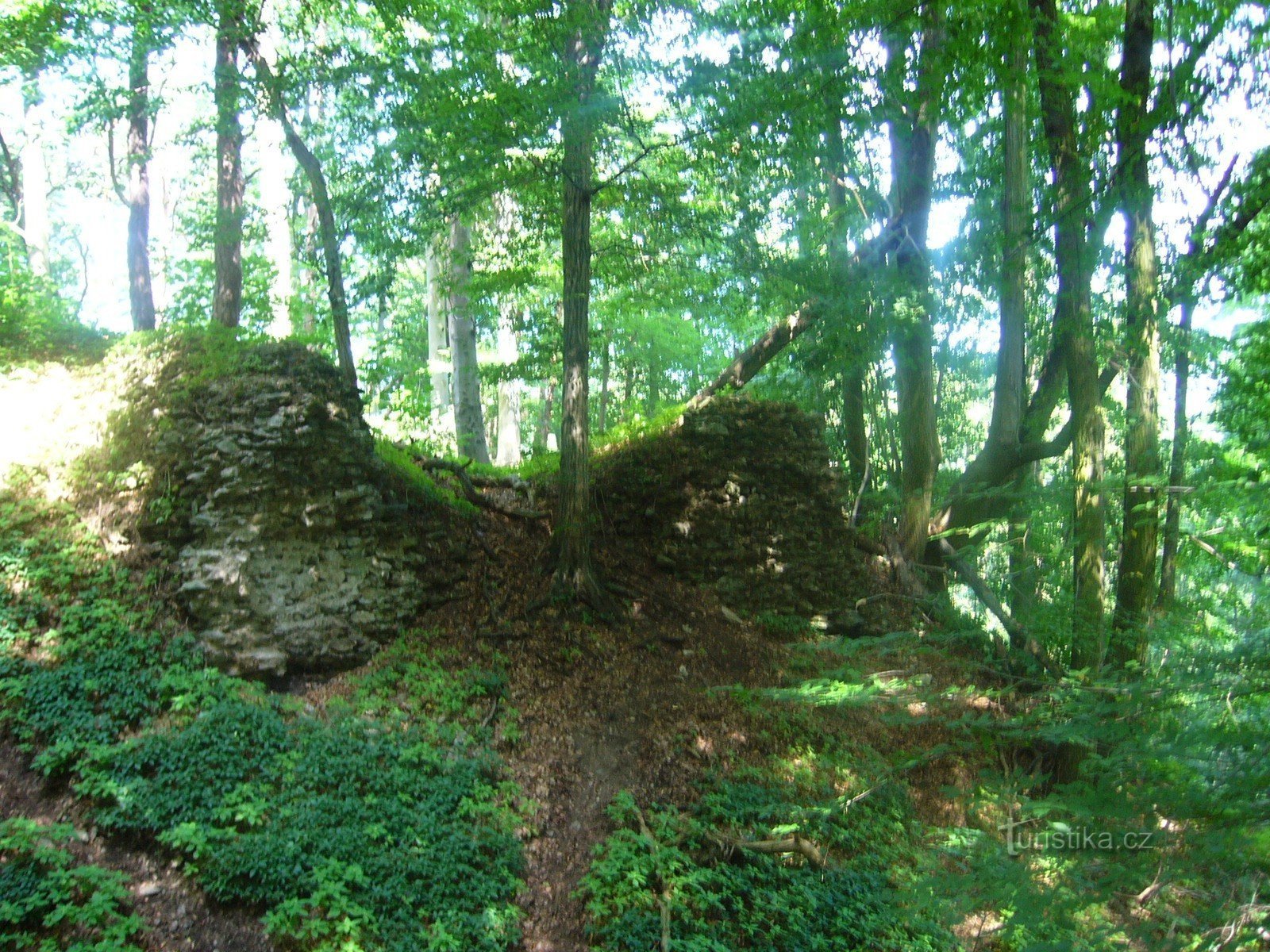 Vraní Hora - ruine