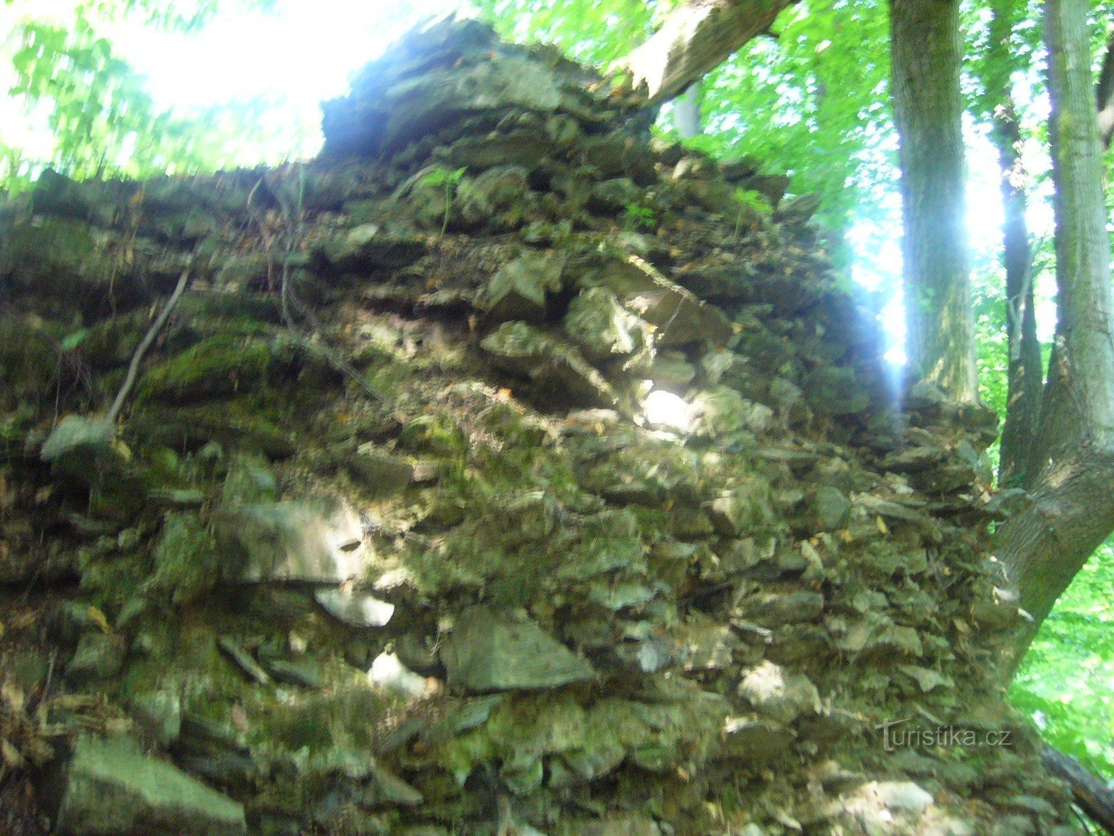 Vraní Hora - ruinas, detalle