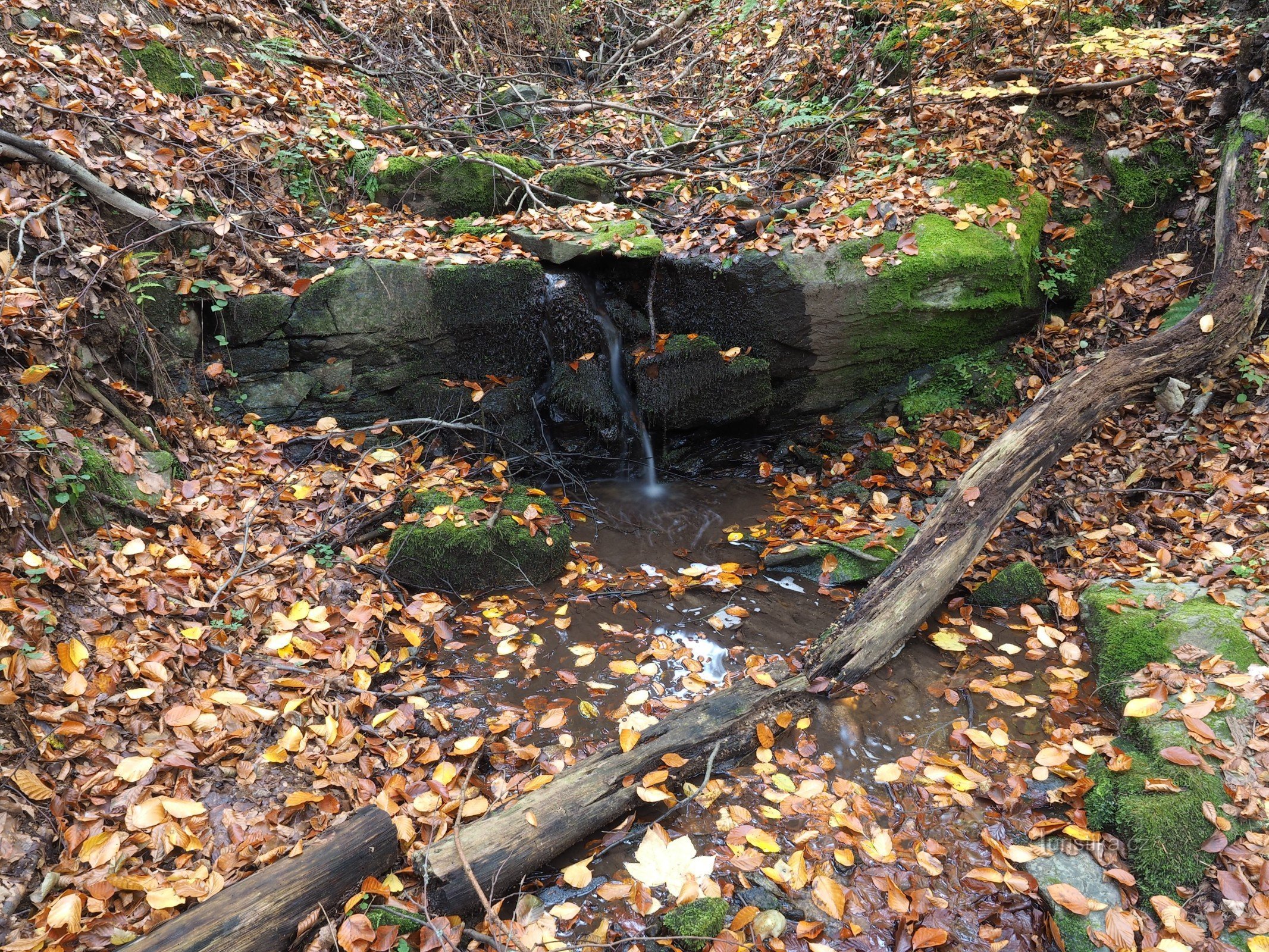 Cascades de Vranice