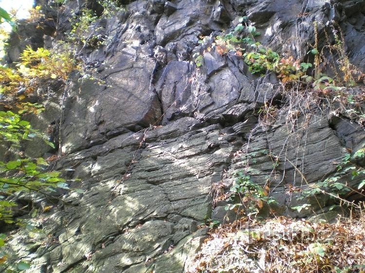 折叠：岩石折叠的一个例子