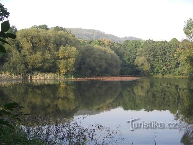 Vražensky-Teich