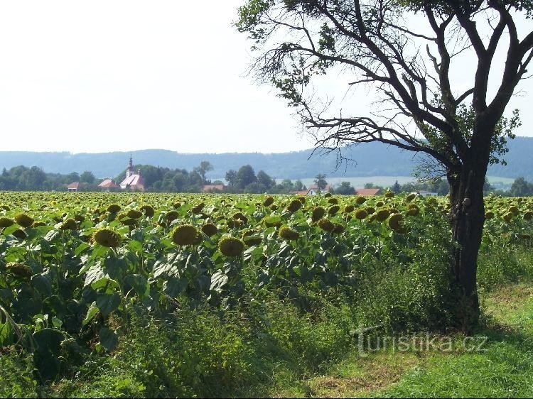 Vražné: Vista de Vražné da estrada de Jeseník