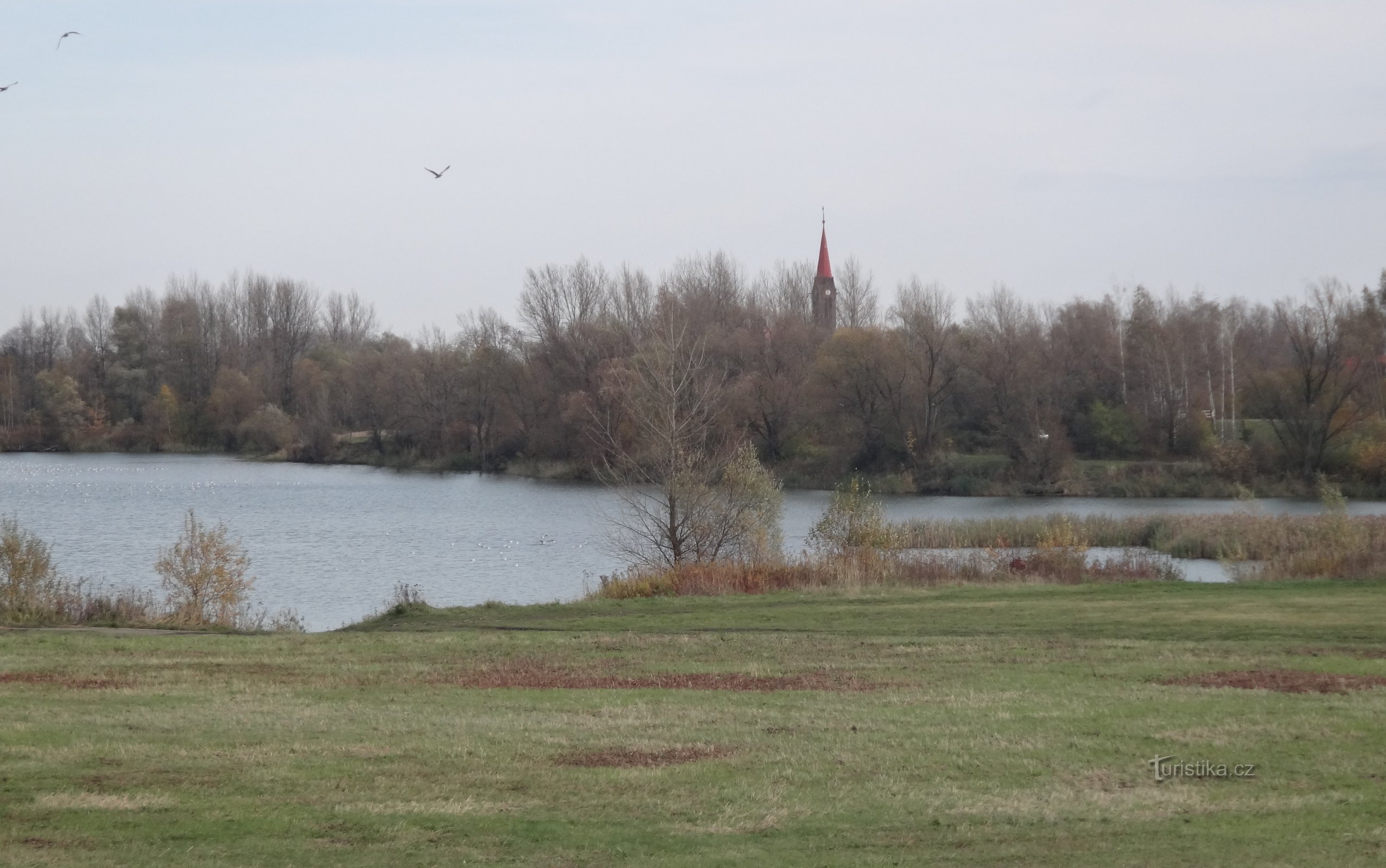 Vrbičko jezero (dio)