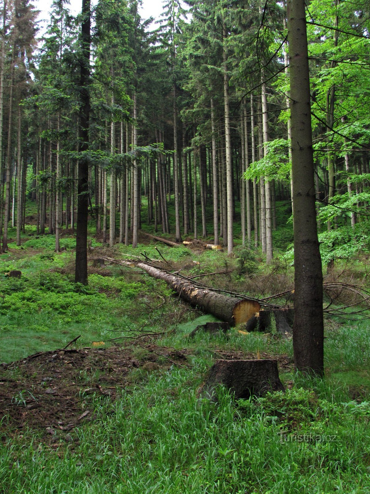 VRBNO 2016 - 5. Viagem aos segredos de Příčné vrch