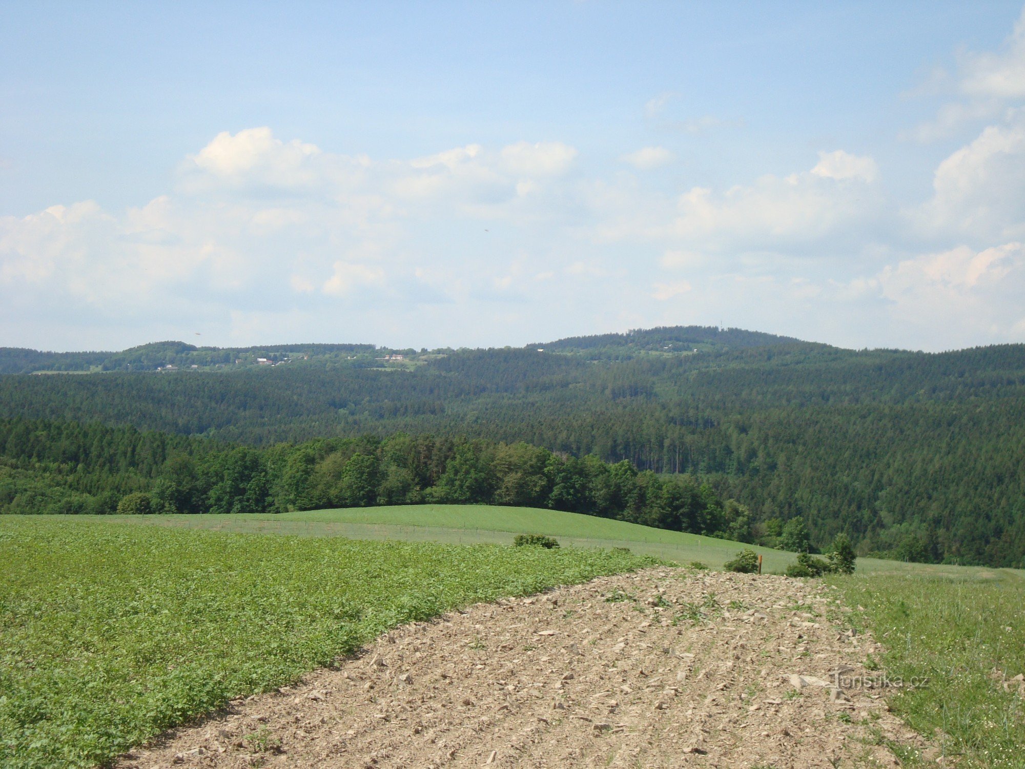 Svatý Kopeček の上にある Jedová Hill (633 m) - 写真: Ulrych Mir.