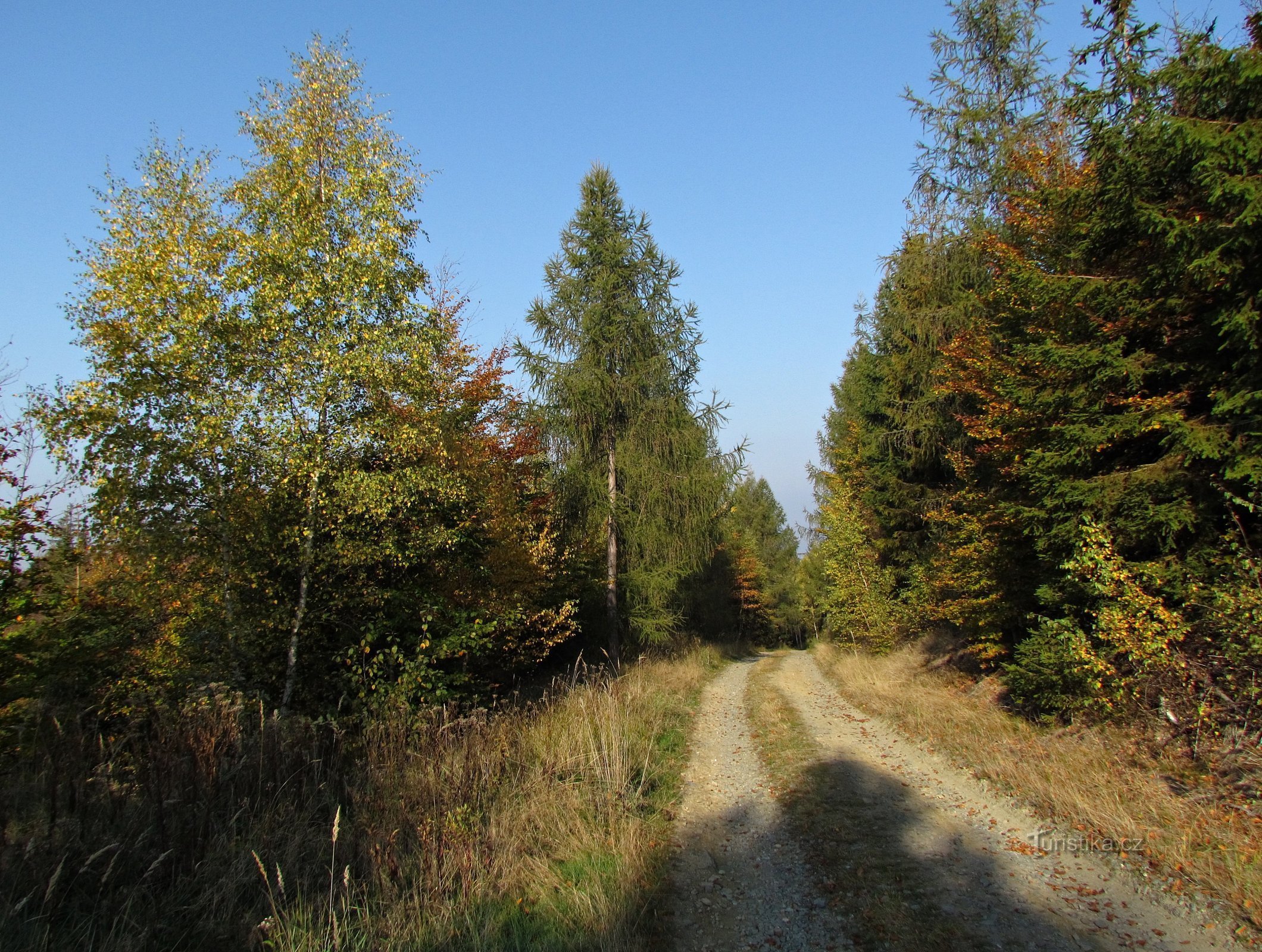 Kopka-kukkula lähellä Nové Malínia