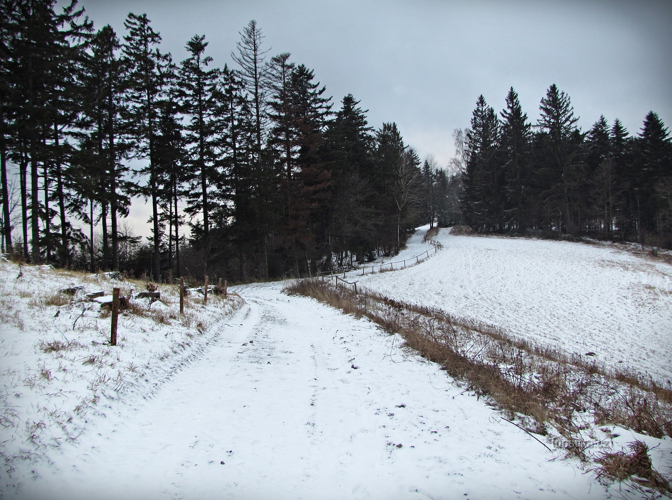 Colline de Kopřivná