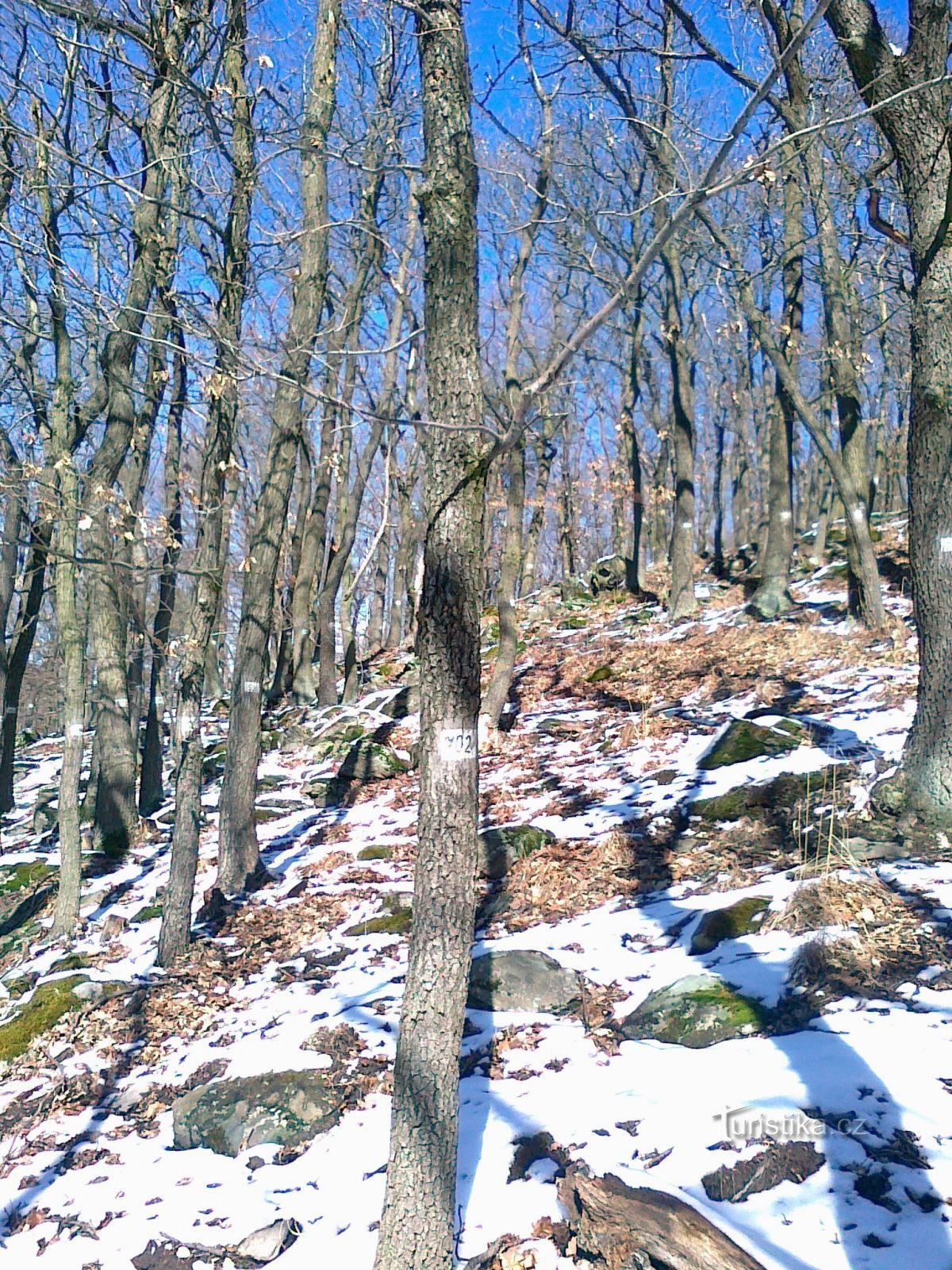 Colline de Lišen