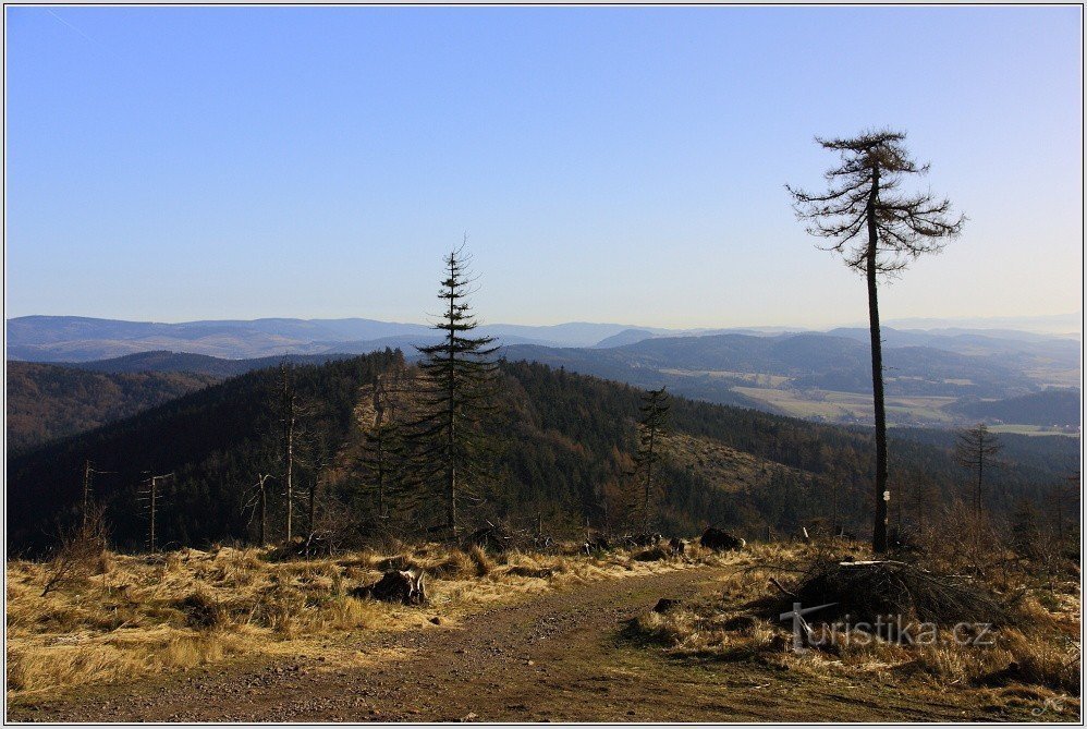 Vrch Široký från Ruprechtick-hunden