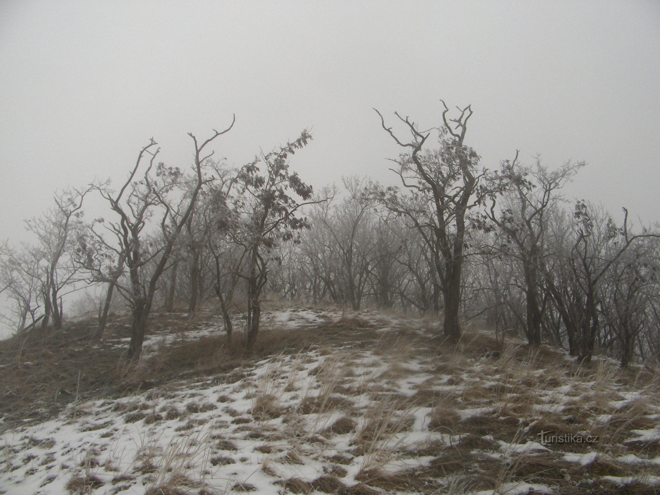 Syslík Hill