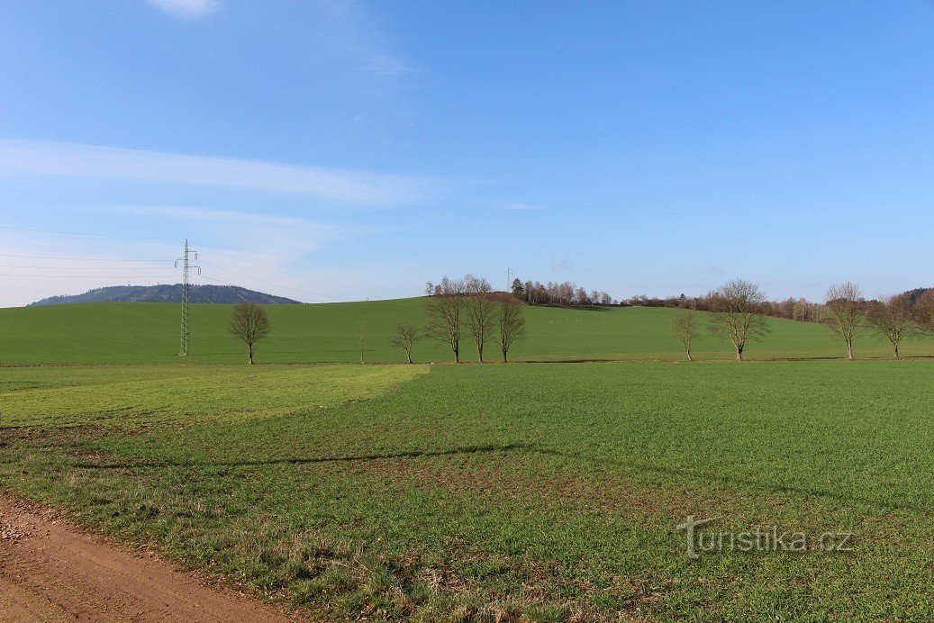 Tedražicko-heuvel vanuit het noorden