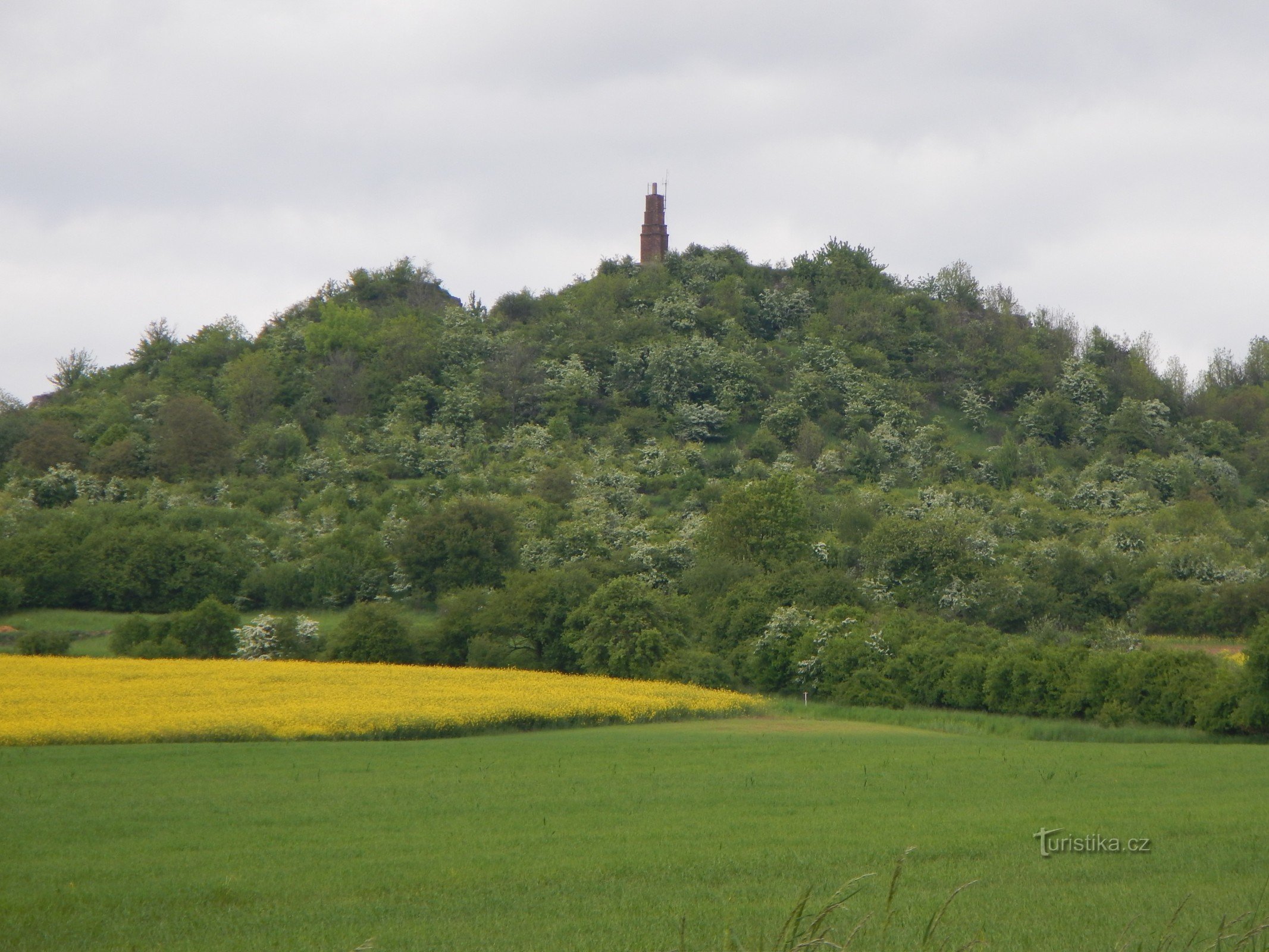 Vrch Veliš 429 moh. fotograferet af Čejkovice.