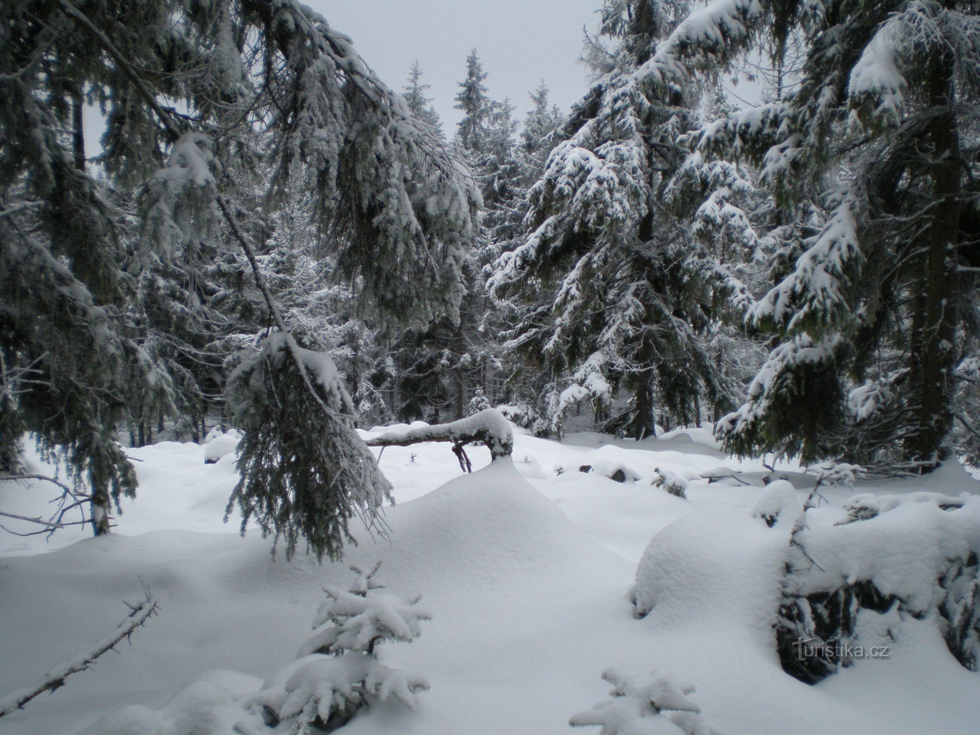 Vrchol Hradiště (840m)