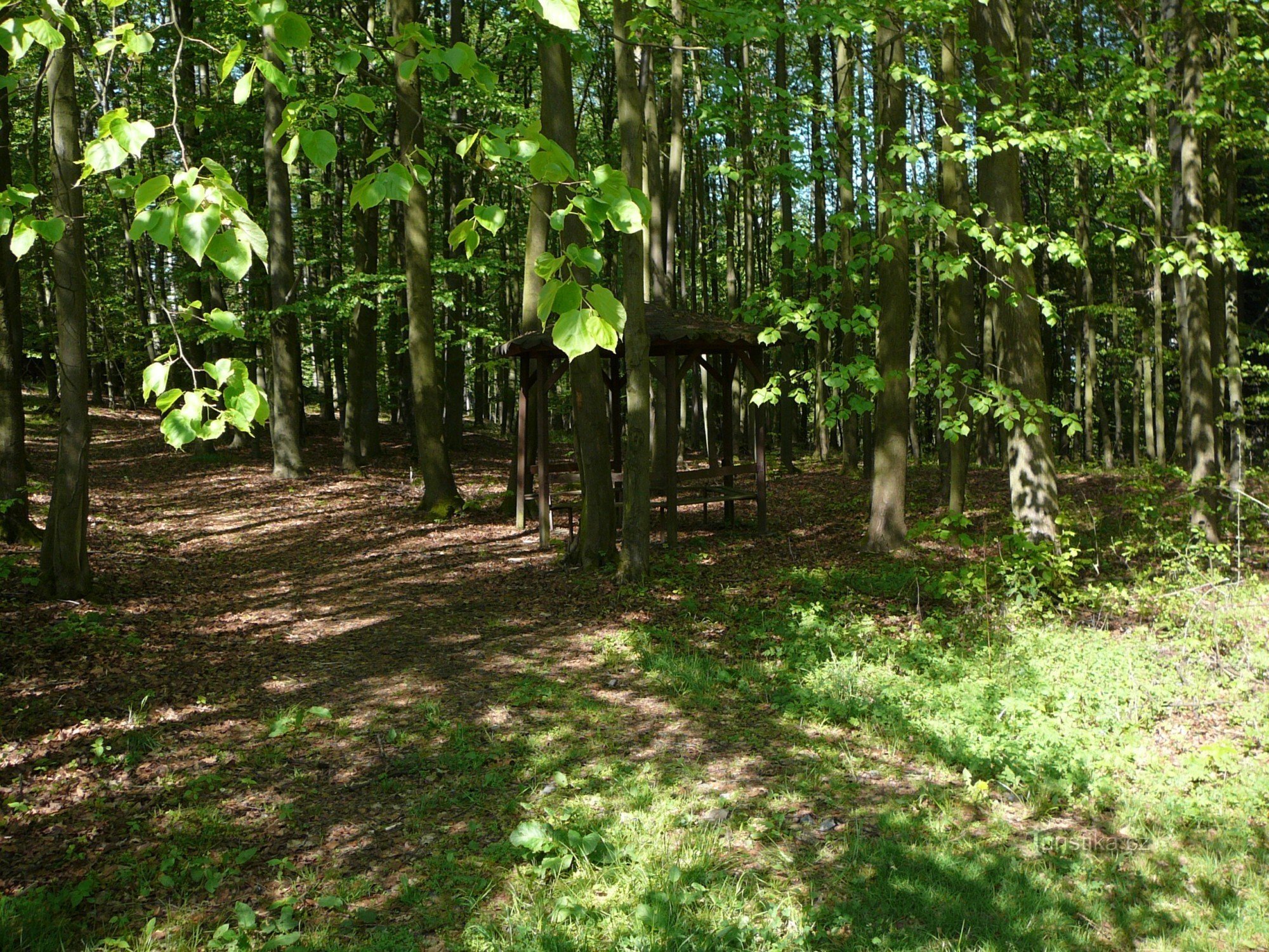 Le sommet de la colline est difficile à reconnaître