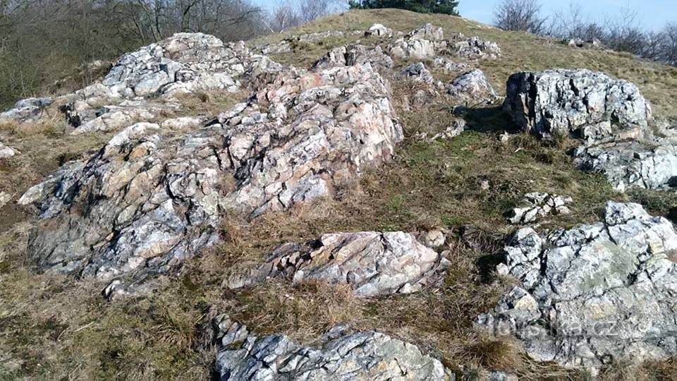 η κορυφή Kuchyňka είναι 242 μέτρα πάνω από την επιφάνεια της θάλασσας