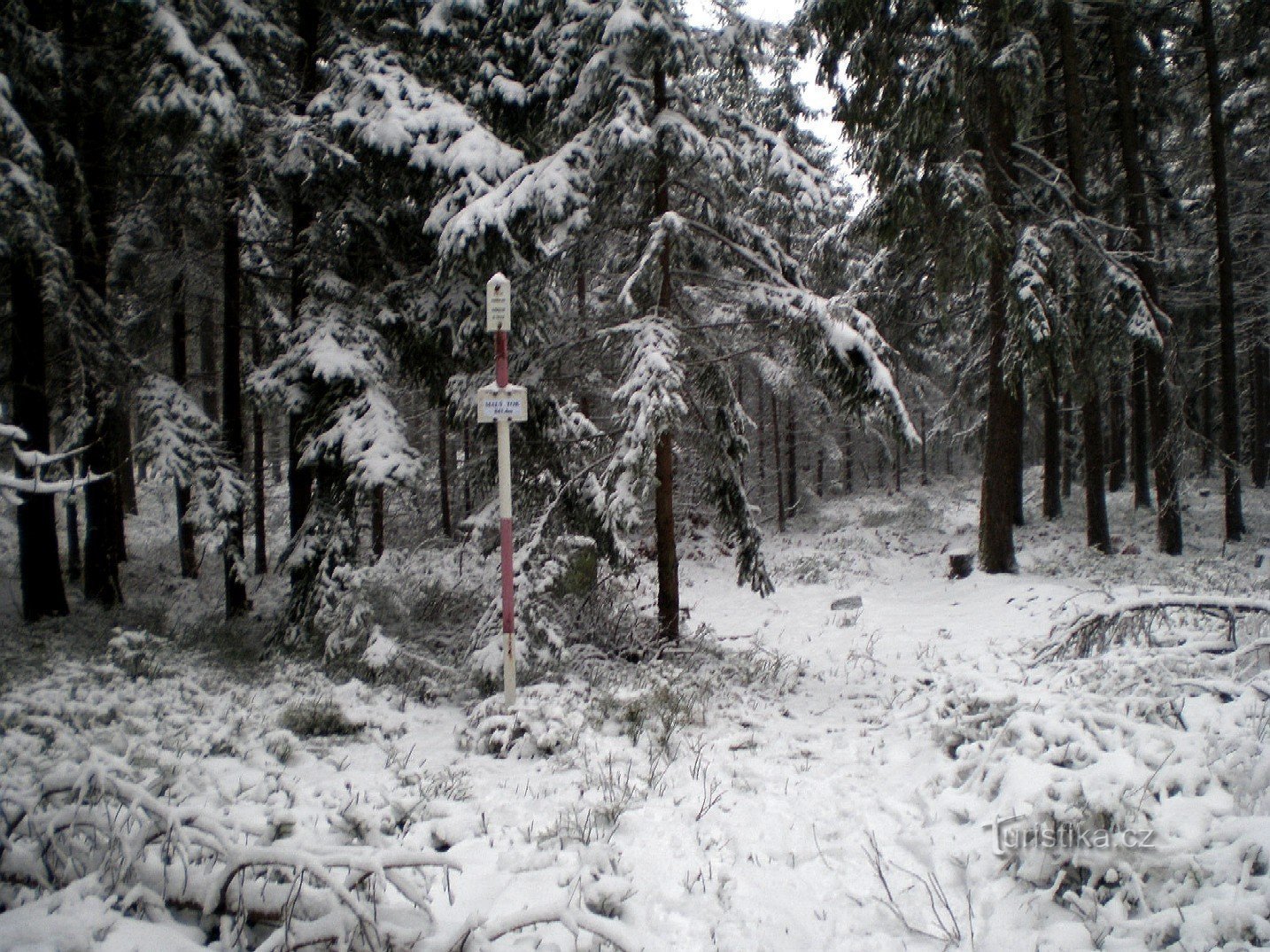 Szczyt Male Tok (844m)