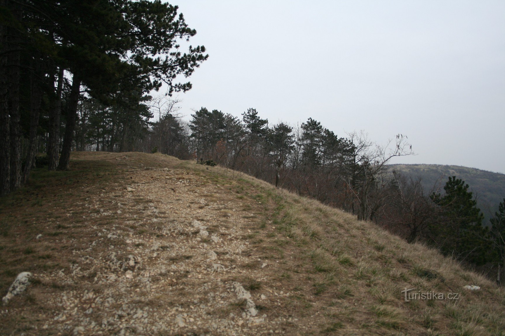 谷の上の峰