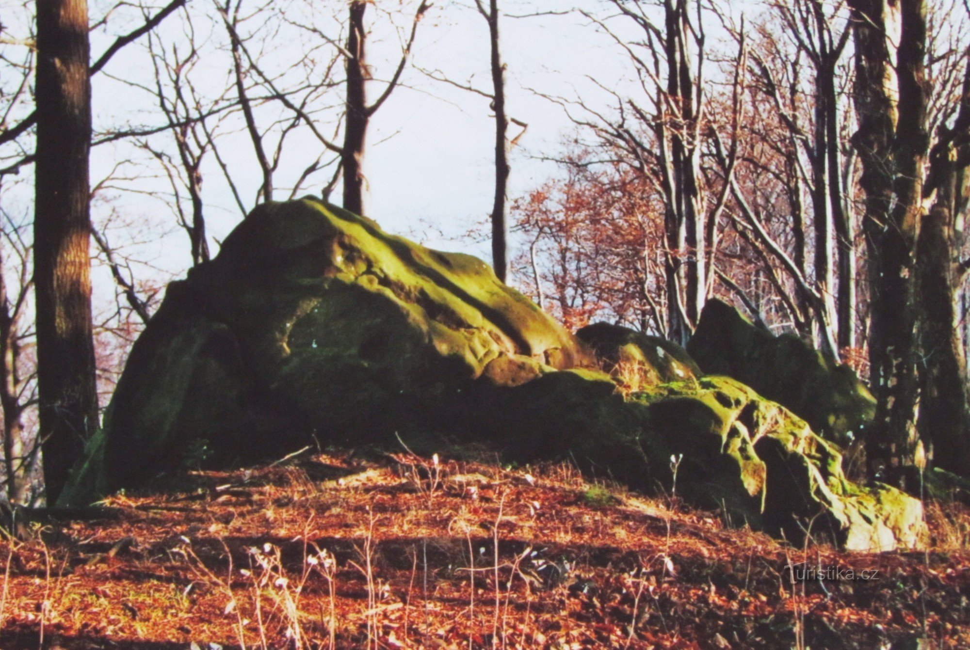 Szczyt Obřan - skały i ruiny zamku
