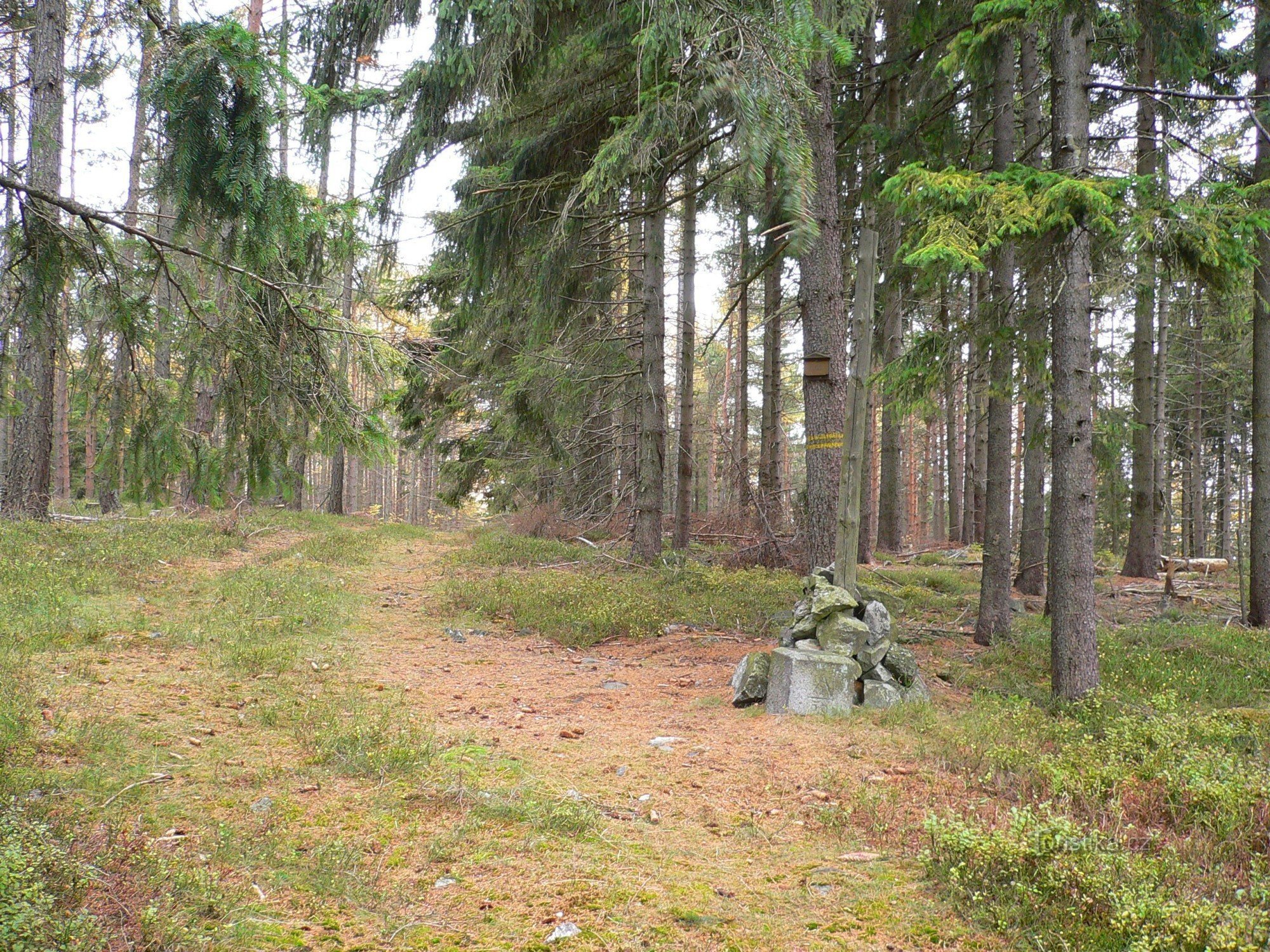 Vrchol Peteráku (813m)