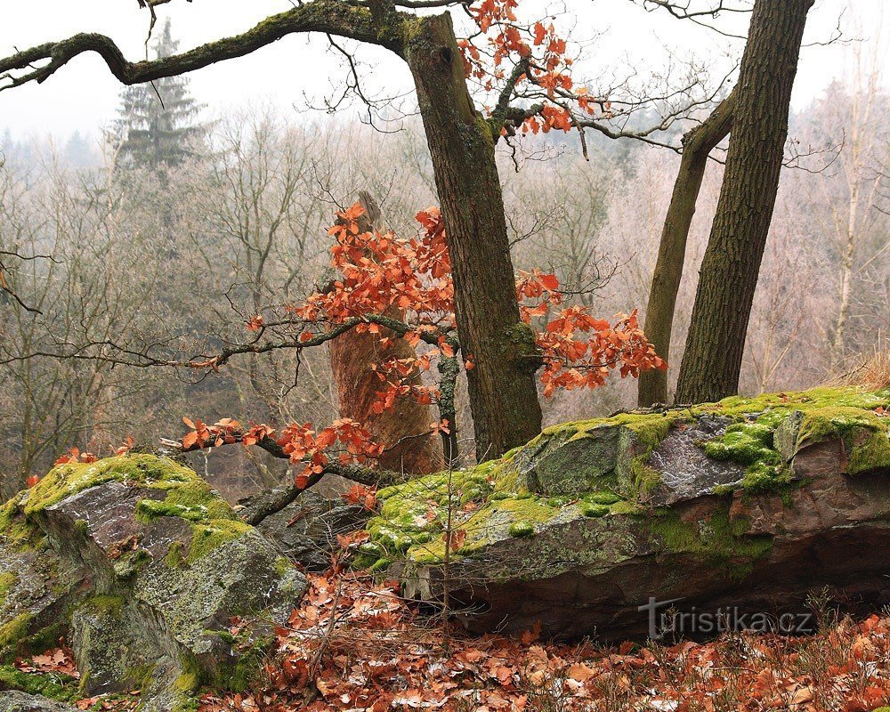 Plešivce peak