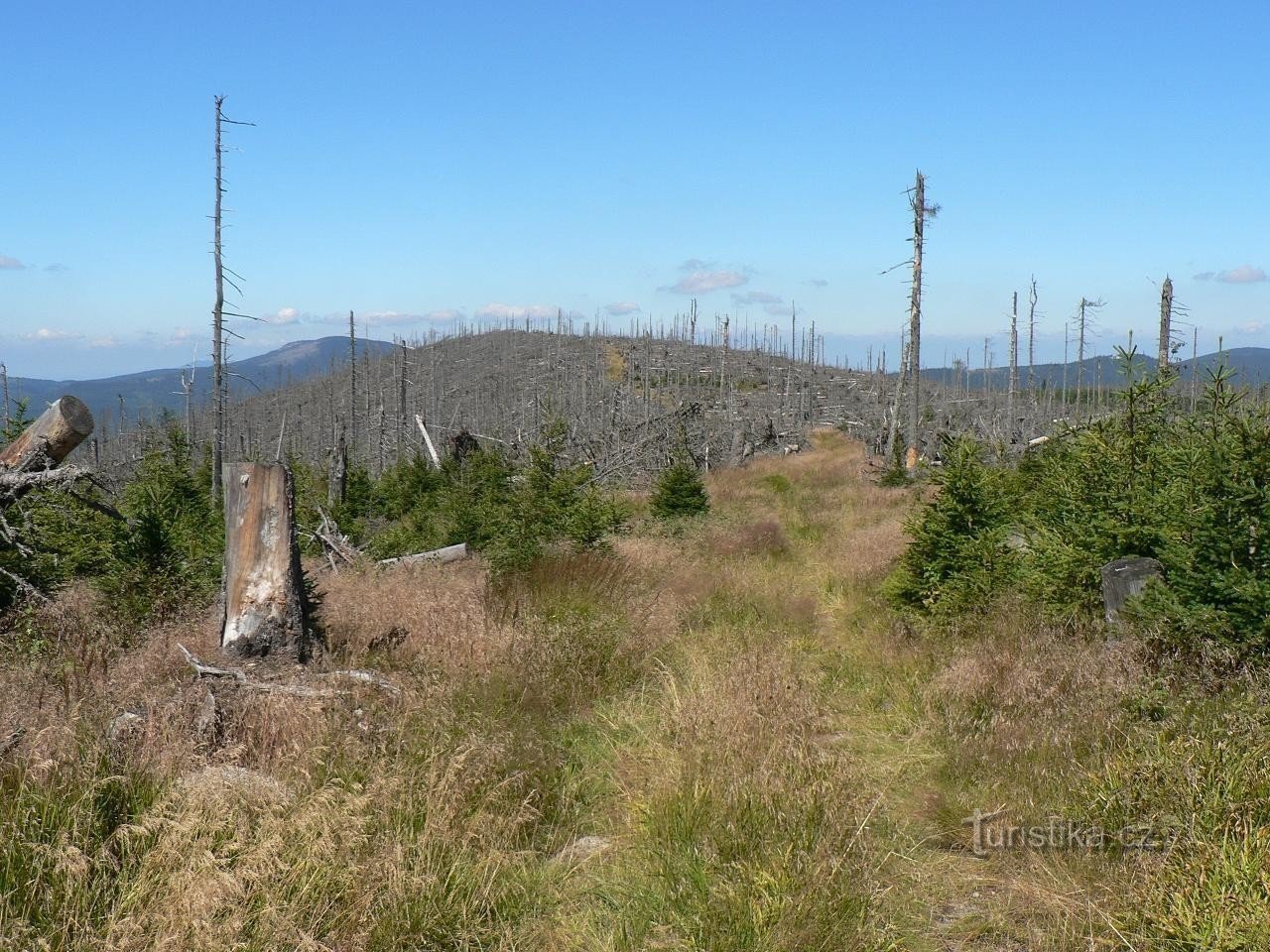 The top of Polomu from the south