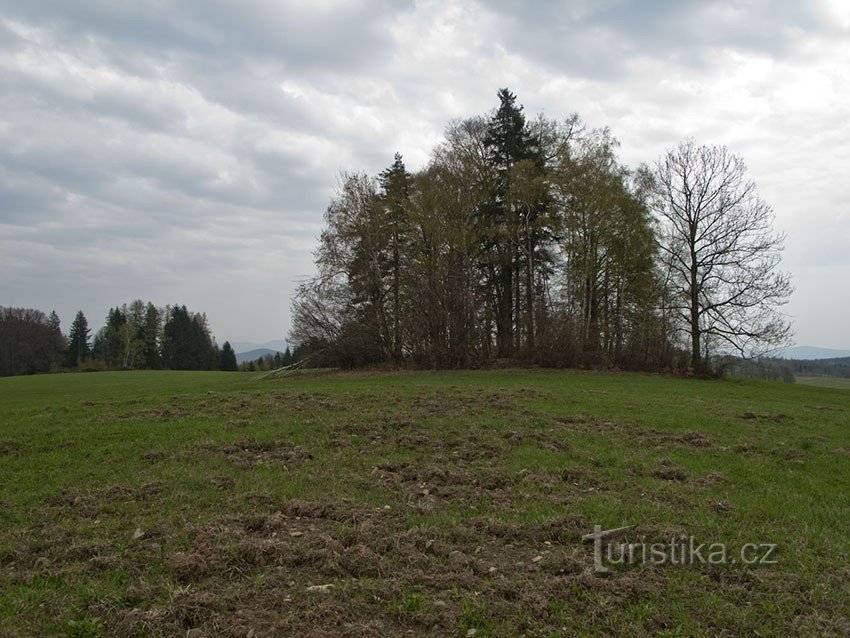 Picco della Zona contaminata