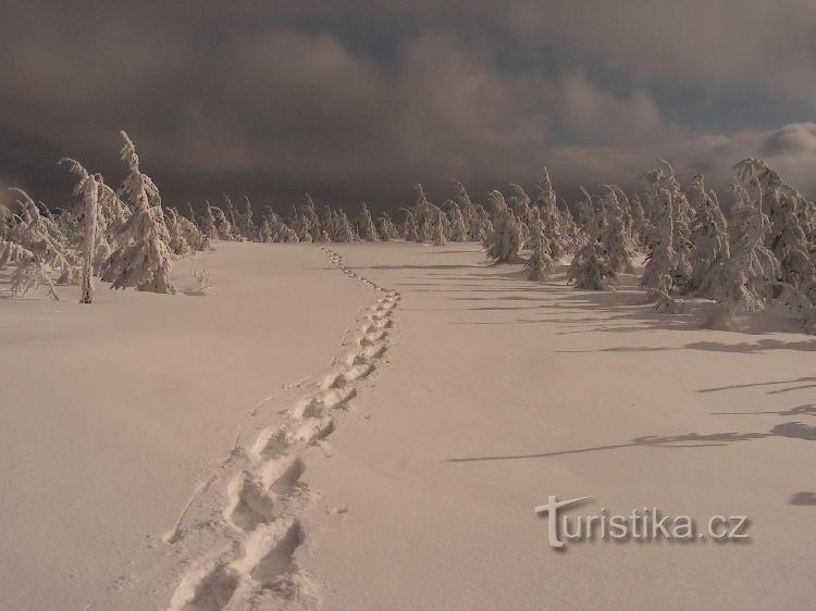 Peak Ropice : mélancolie hivernale