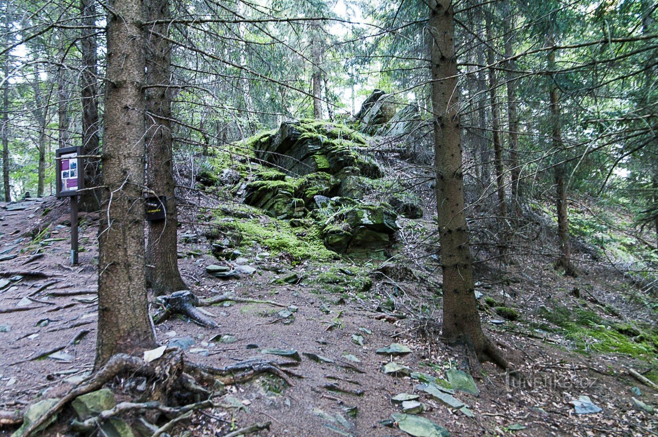 Pico con rocas