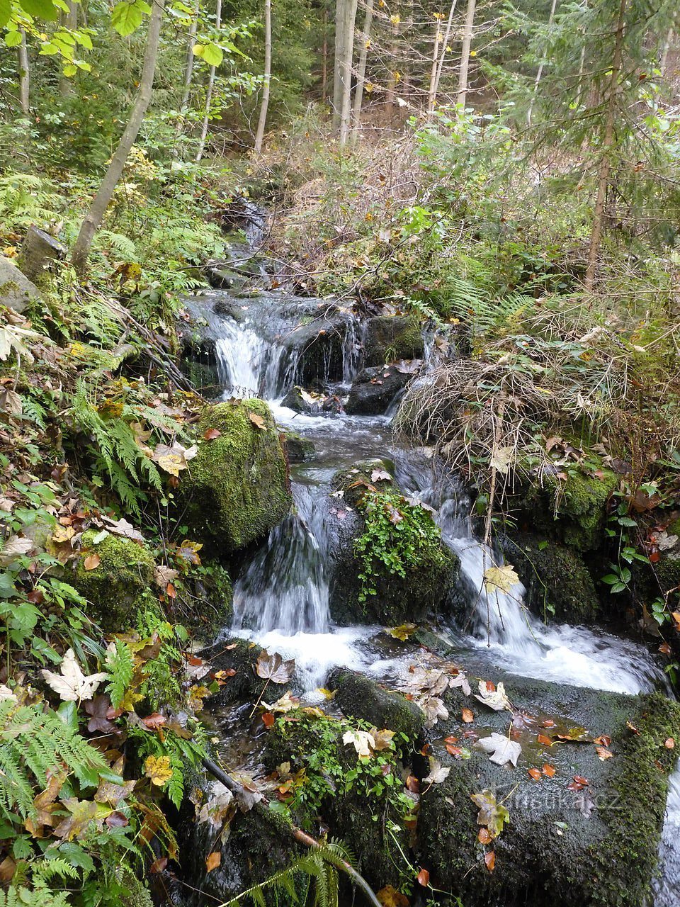 Skalka nad Ostravicín huippu.