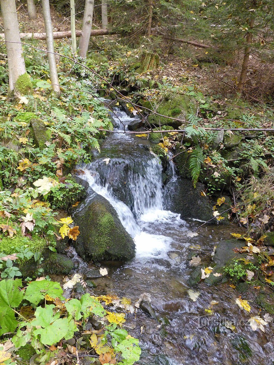 Vârful Skalka nad Ostravicí.