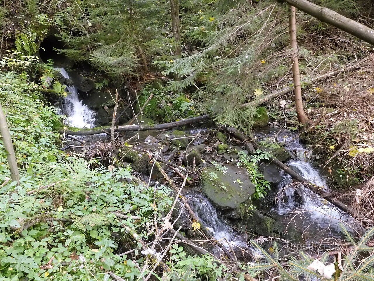 Skalka nad Ostravicín huippu.