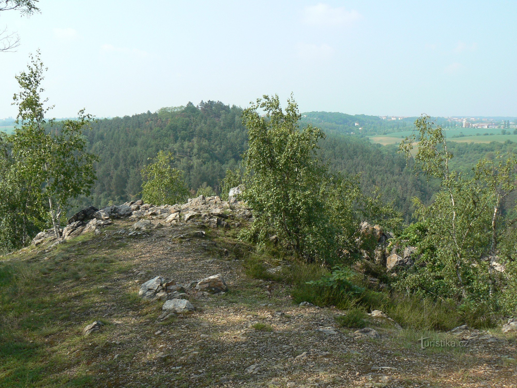 The top of a rock formation