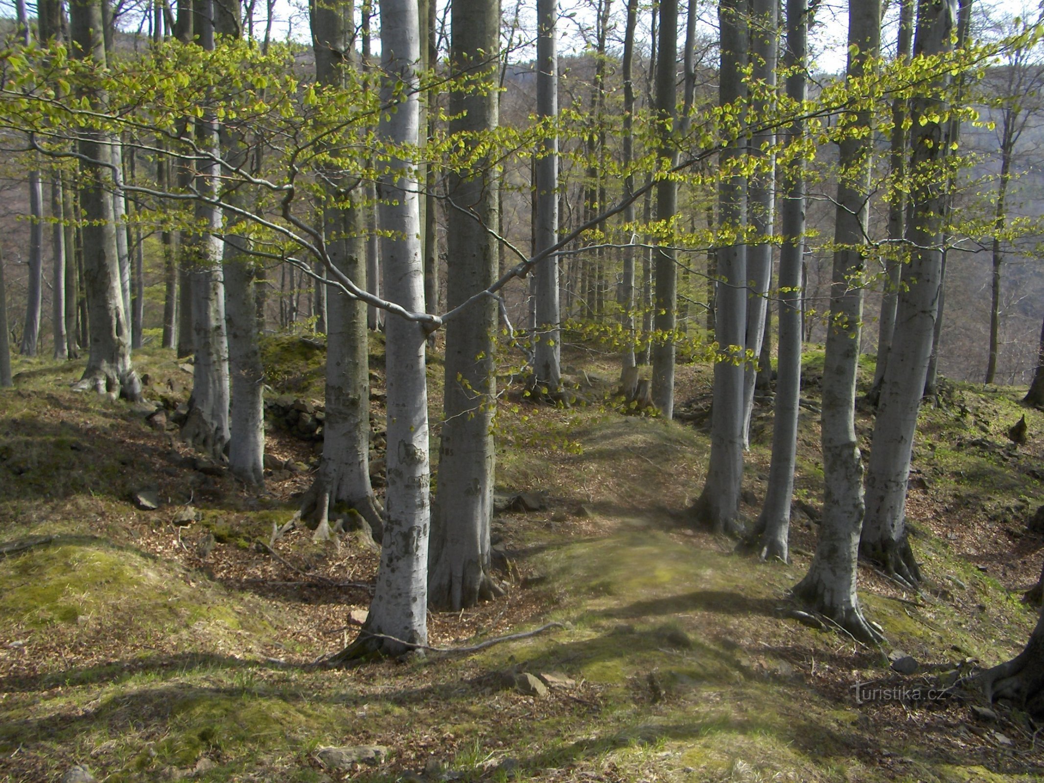 the top of Zámecký vrch