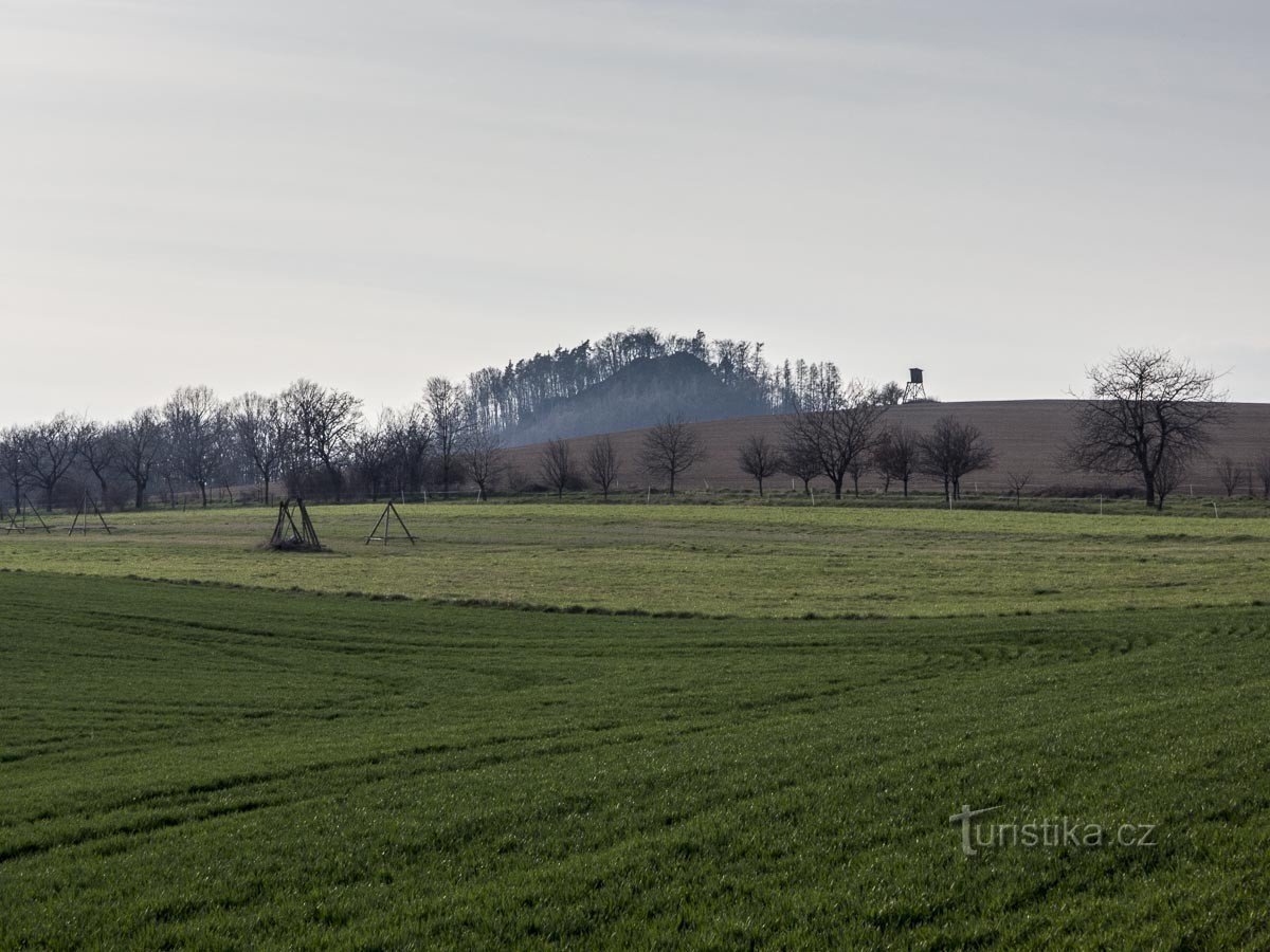 Le pic de Zbová depuis Bludov