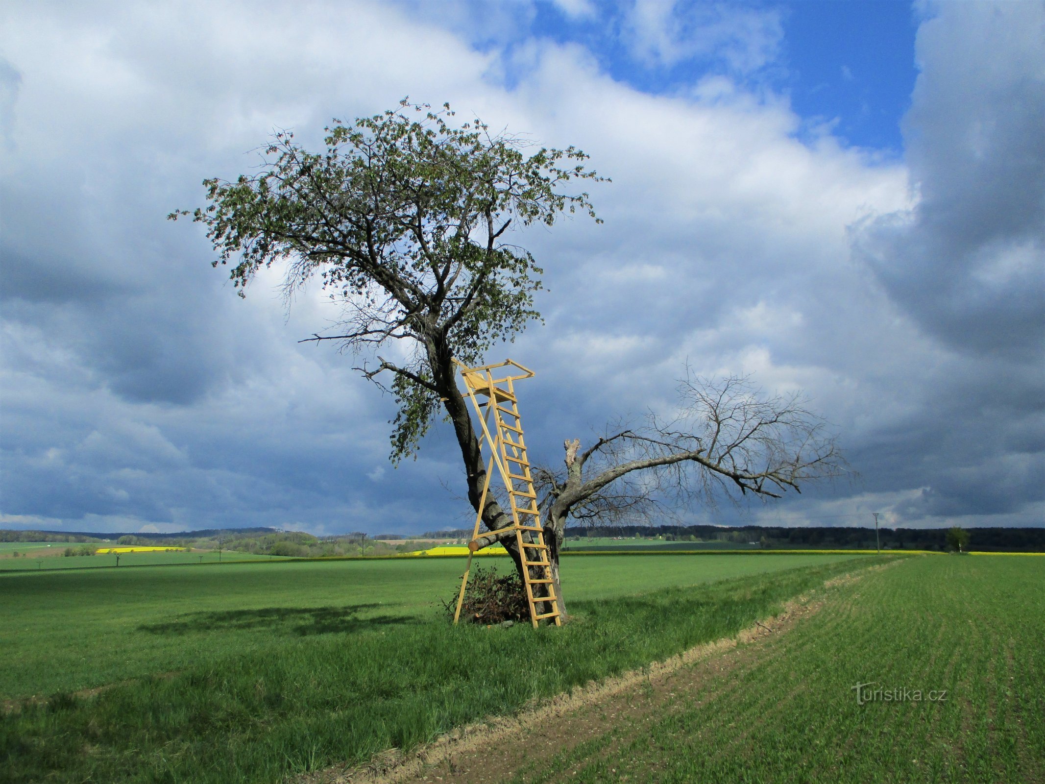 Szczyt Březina (Slatina nad Úpou, 5.5.2020)