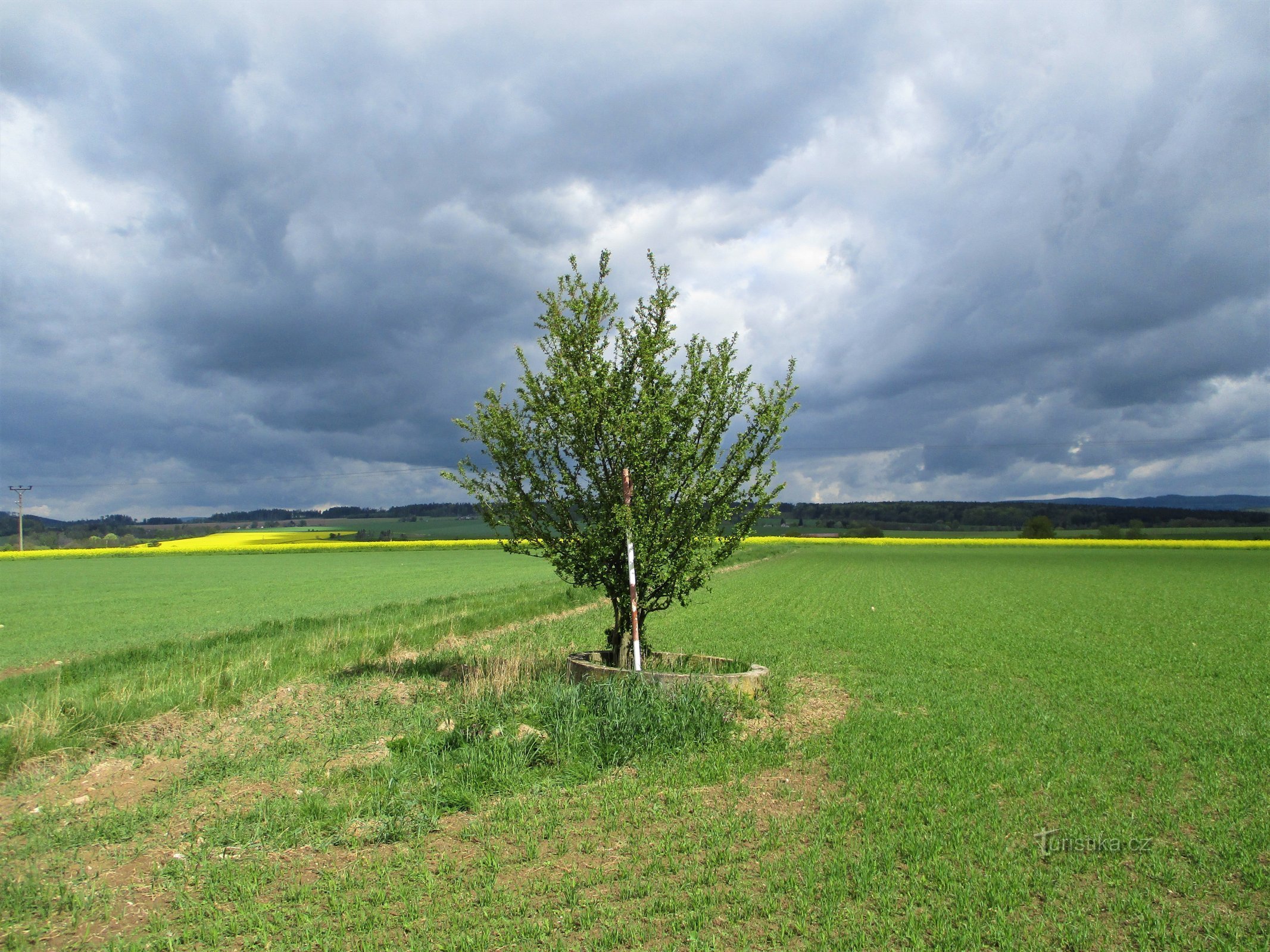 La cima della Březina (Slatina nad Úpou, 5.5.2020/XNUMX/XNUMX)