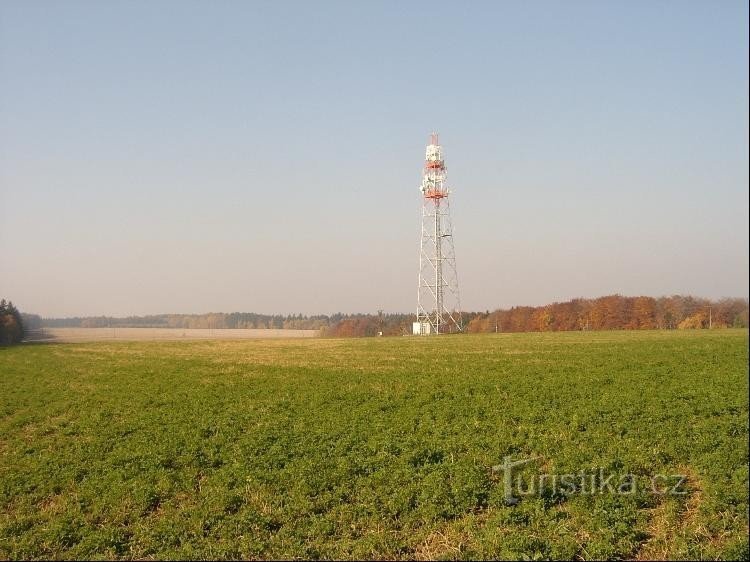 Top: Op het fundament van de Upper Permocarbon rode lagen gevormd door de formatie