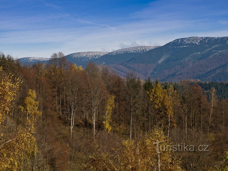 Cime di montagna