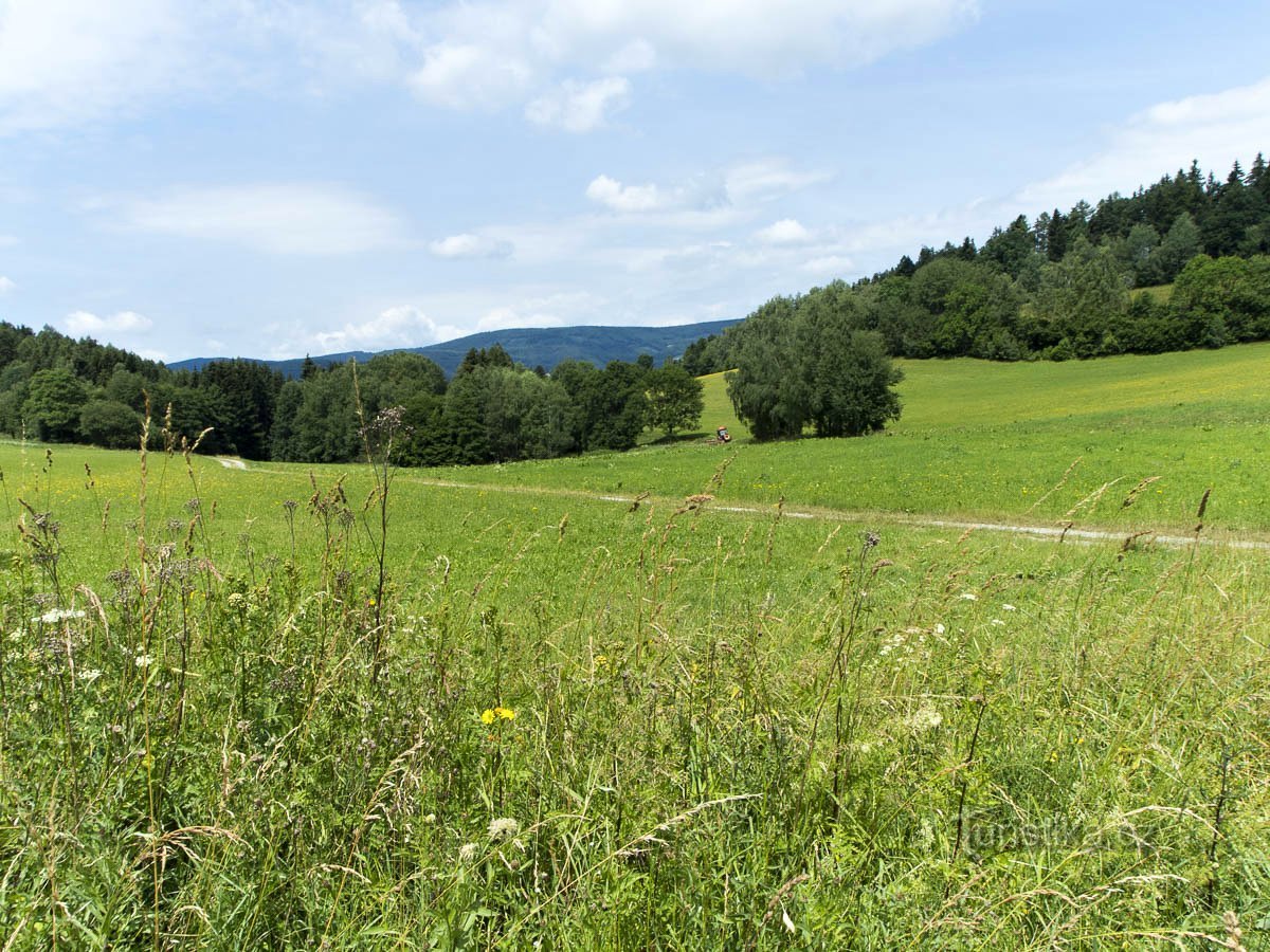 The peaks of the Jeřábské honatina