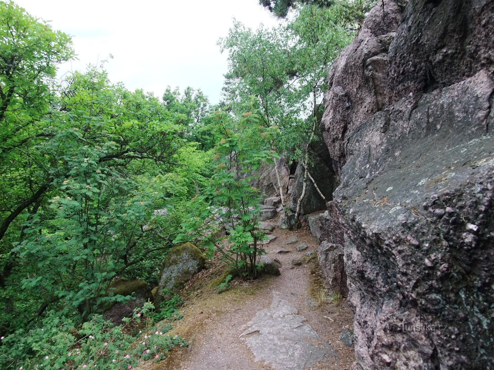 Ruta del pico en Babí lom