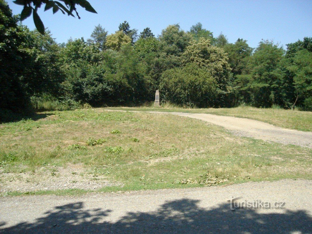 The top part of Palacký vrch