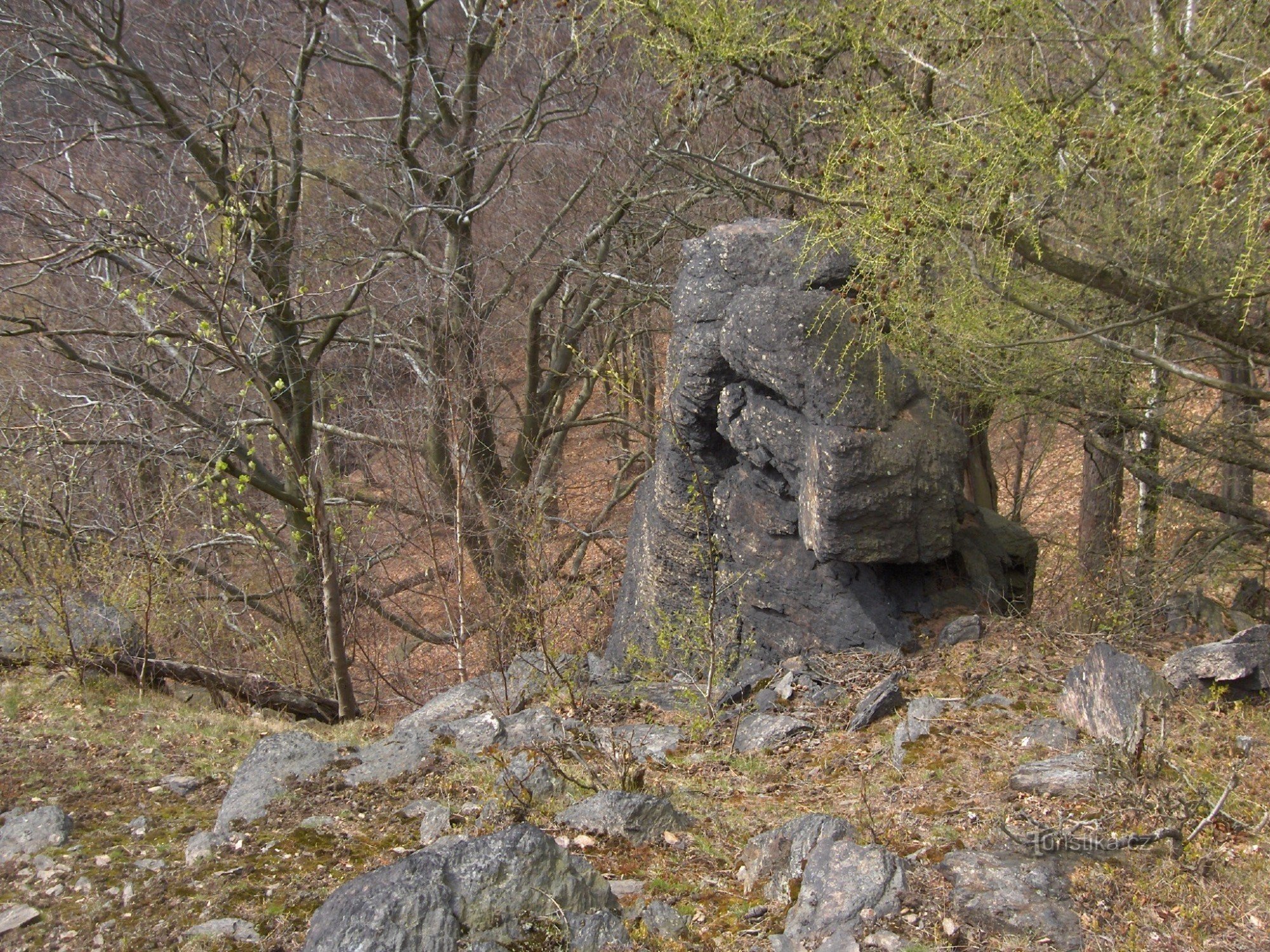 pico de rocas