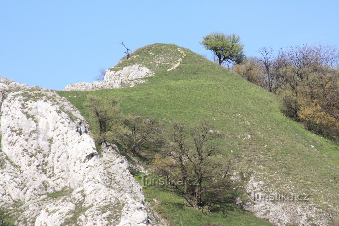 Une butte avec un ancien château