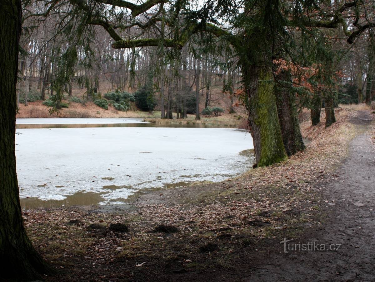 Vrchotovy Janovice - Kasteelpark