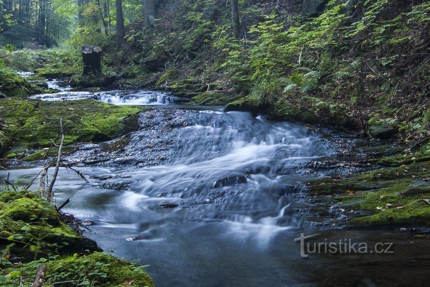 Ruscello dell'altopiano