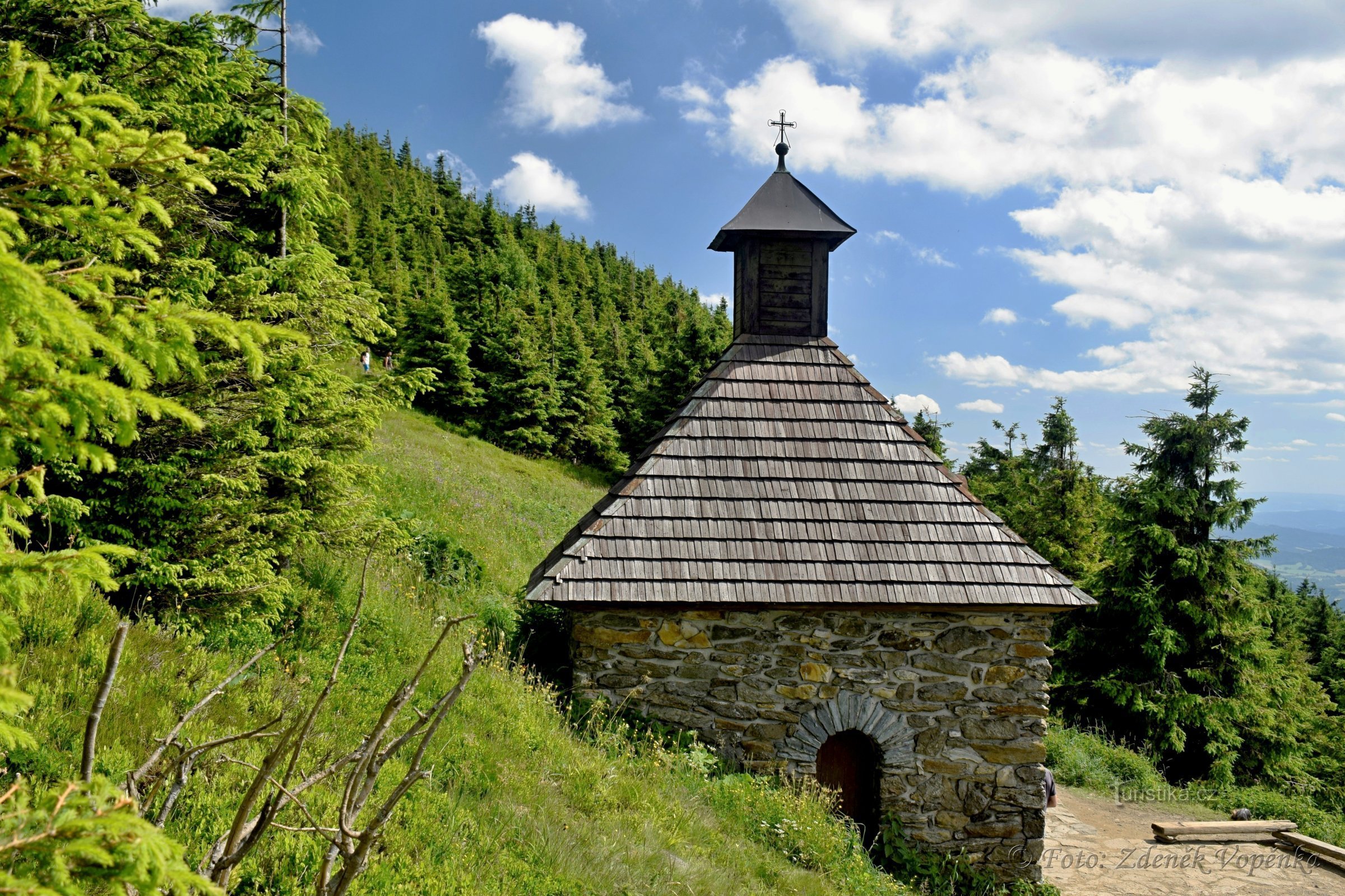 Un puits de bruyère.