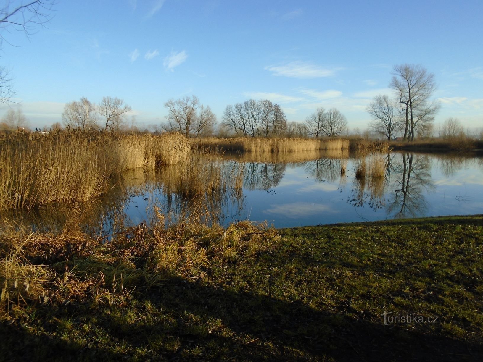 Vrškovský dam (Libišany, 6.1.2018/XNUMX/XNUMX)